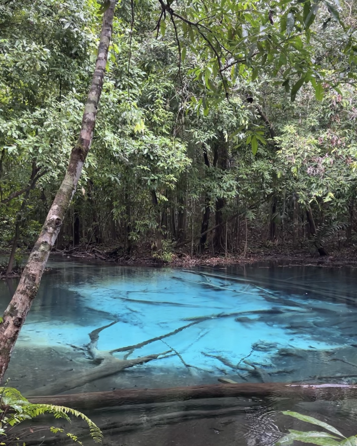 du lịch krabi hồ nước xanh